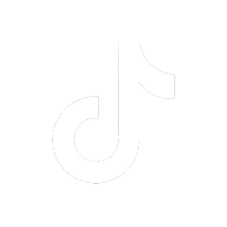 /build/images/icon-tiktok