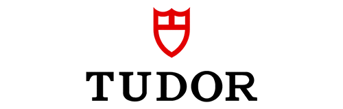 logo_media.webp