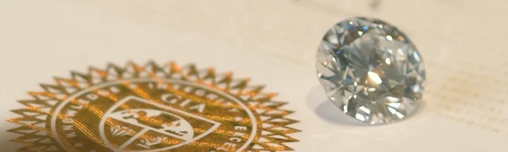 banner.webp
