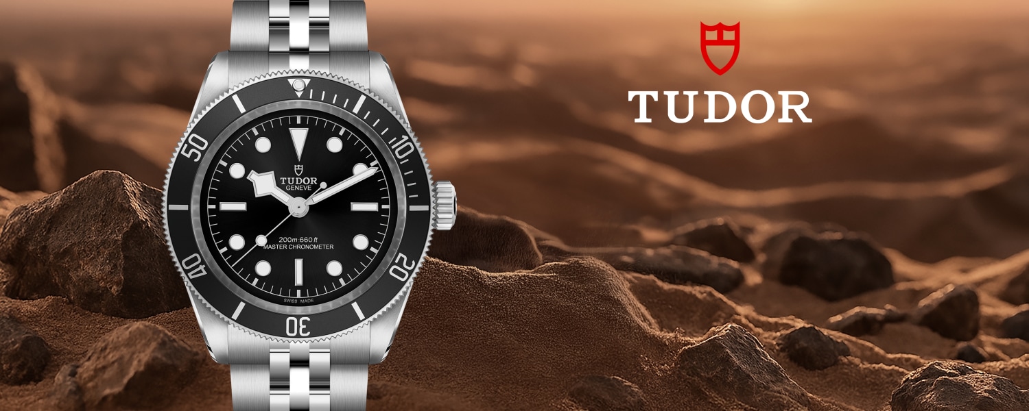 Slide 4_TUDOR 1500 x 600.jpg